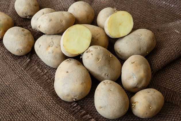 Умеете ли вы резать картофель для посадки?