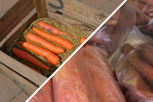Правильно ли вы храните морковь?