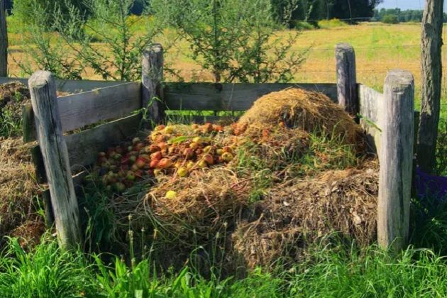 Что делать с растительными остатками в конце дачного сезона?