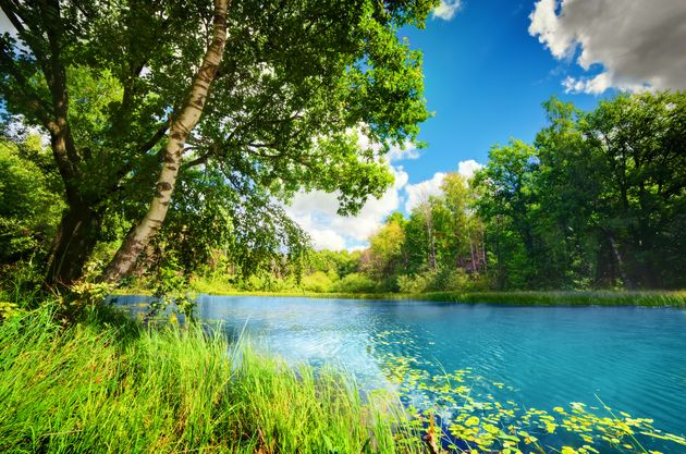 Земельный участок в водоохранной зоне