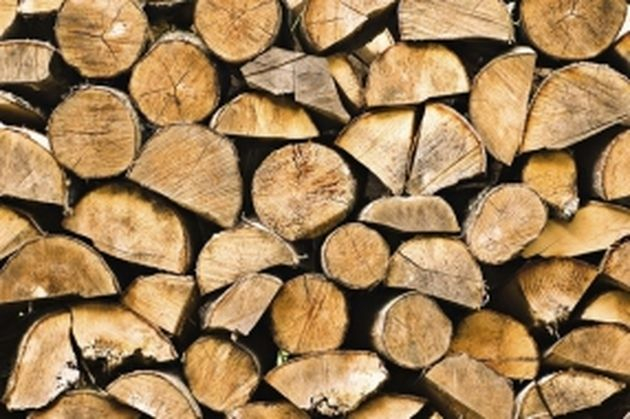 Какие лучшие дрова для шашлыка