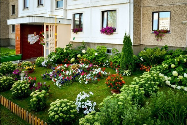 Палисадник в городе