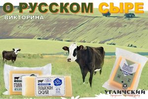 Викторина «О Сыре»